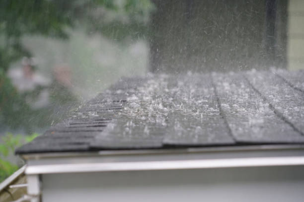 Best Sheet Metal Roofing  in Proctor, MN