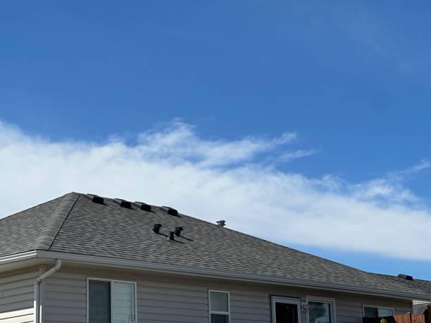 Best Roofing for New Construction  in Proctor, MN